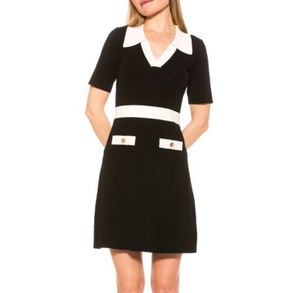 Alexia Admor Fern Collared Knit Shirt Dress Size M - Picture 1 of 9